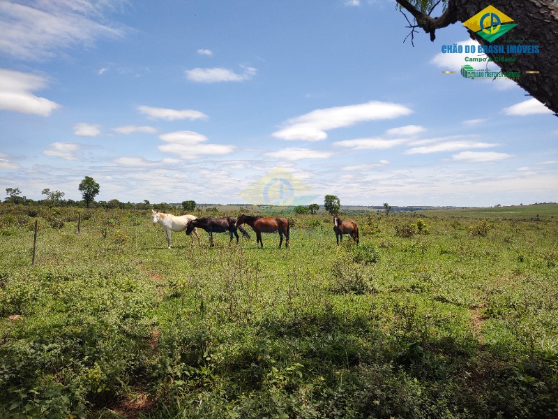 Fazenda à venda com 4 quartos - Foto 10