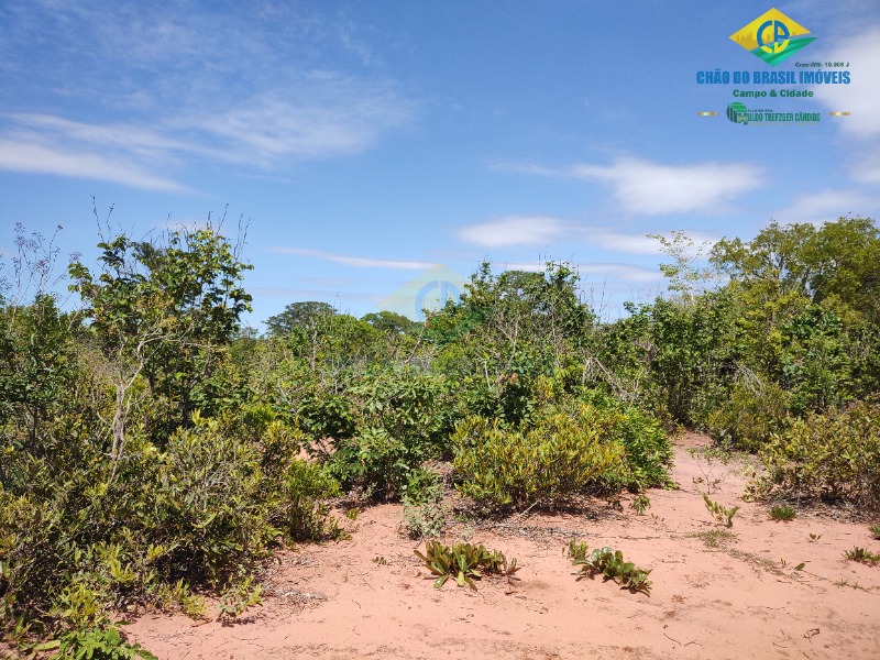 Fazenda à venda com 4 quartos - Foto 17