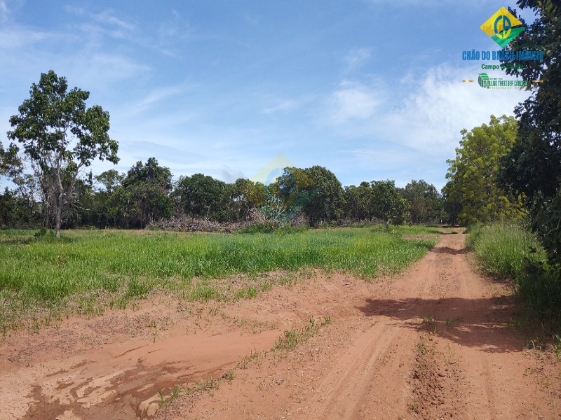 Fazenda à venda com 3 quartos - Foto 38