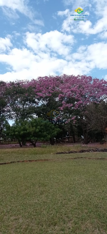 Chácara à venda com 2 quartos, 200m² - Foto 23