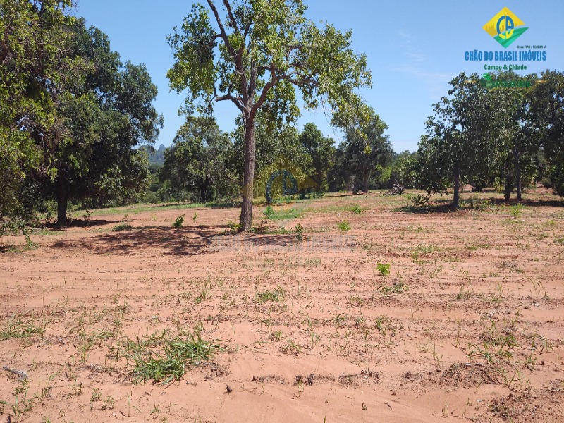 Fazenda à venda com 2 quartos, 80m² - Foto 22