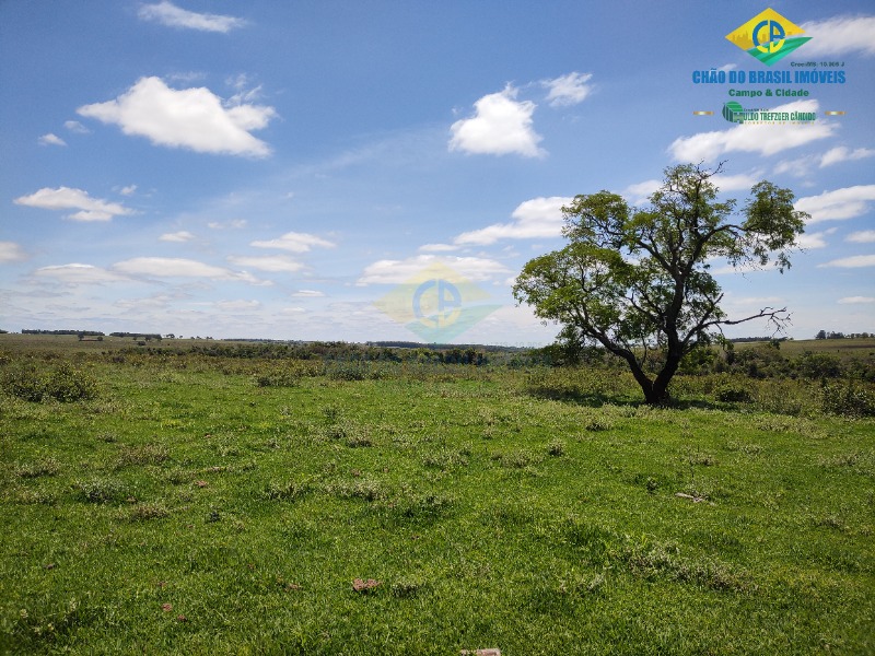 Fazenda à venda com 4 quartos - Foto 47