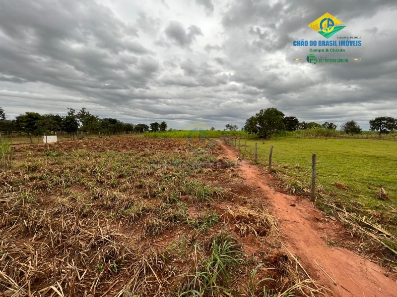 Chácara à venda com 4 quartos, 4m² - Foto 36