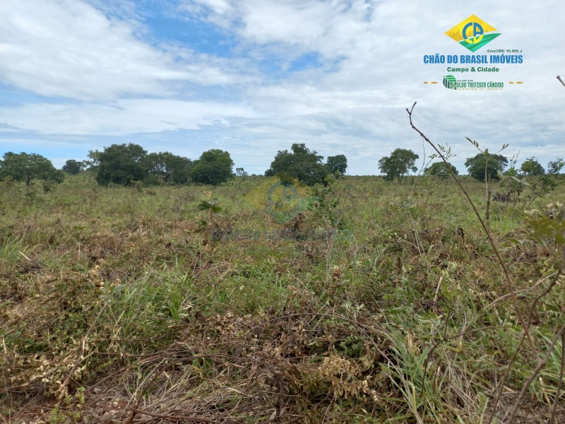 Fazenda à venda com 2 quartos - Foto 14