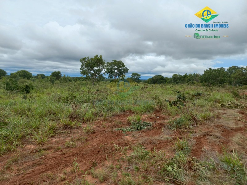 Fazenda à venda com 2 quartos - Foto 12