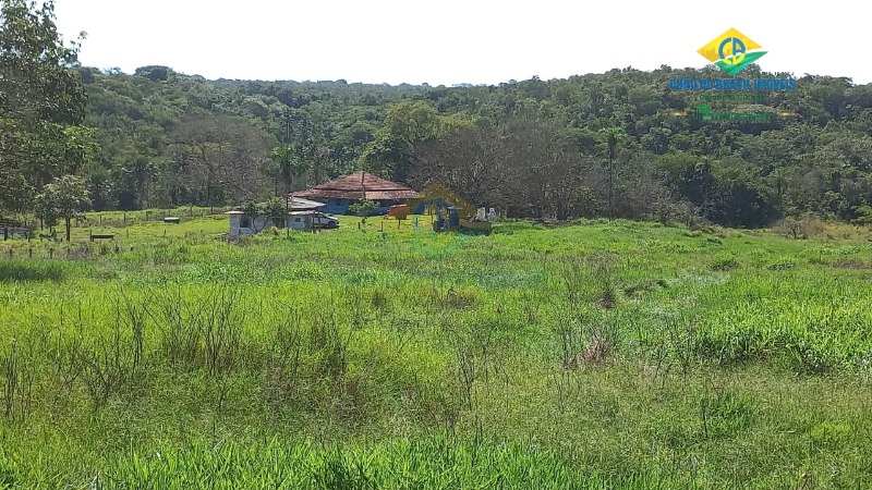 Fazenda à venda com 3 quartos, 1250m² - Foto 7