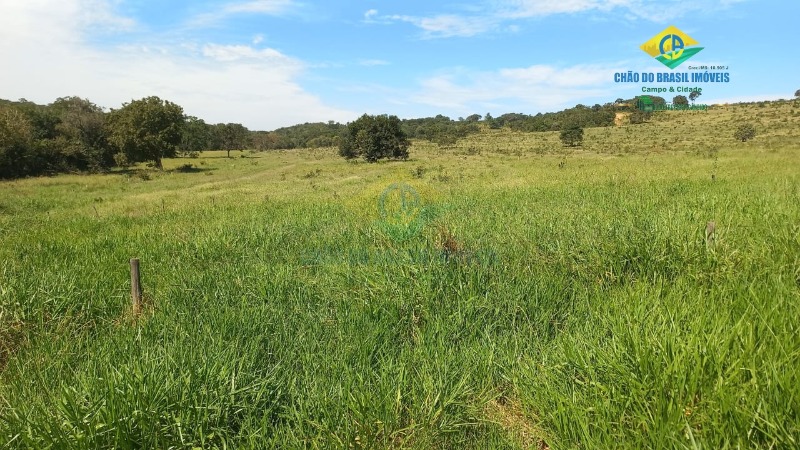 Fazenda à venda com 3 quartos, 1250m² - Foto 11