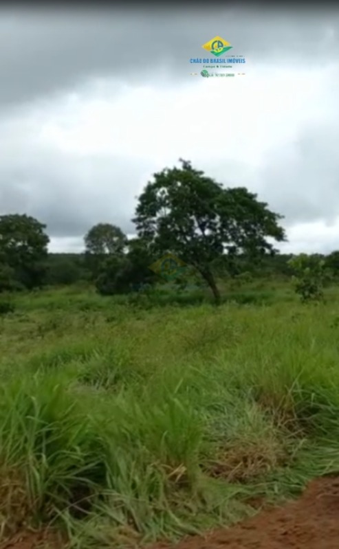 Fazenda à venda com 2 quartos - Foto 6