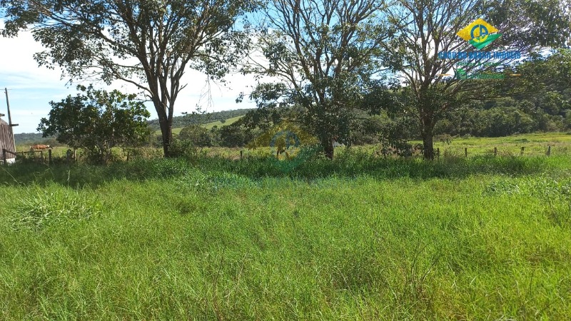 Fazenda à venda com 3 quartos, 1250m² - Foto 5