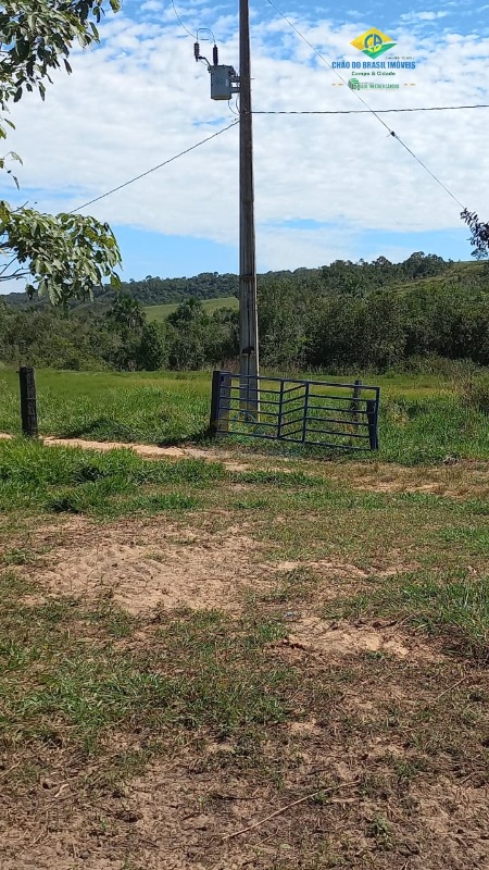 Fazenda à venda com 3 quartos, 1250m² - Foto 9