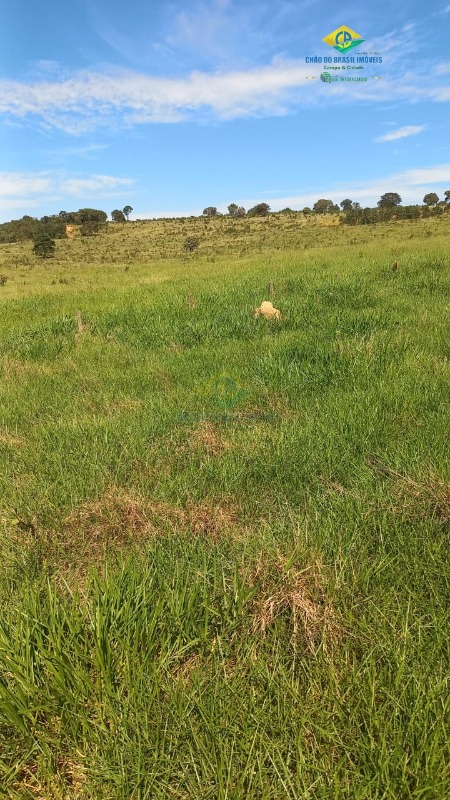 Fazenda à venda com 3 quartos, 1250m² - Foto 12