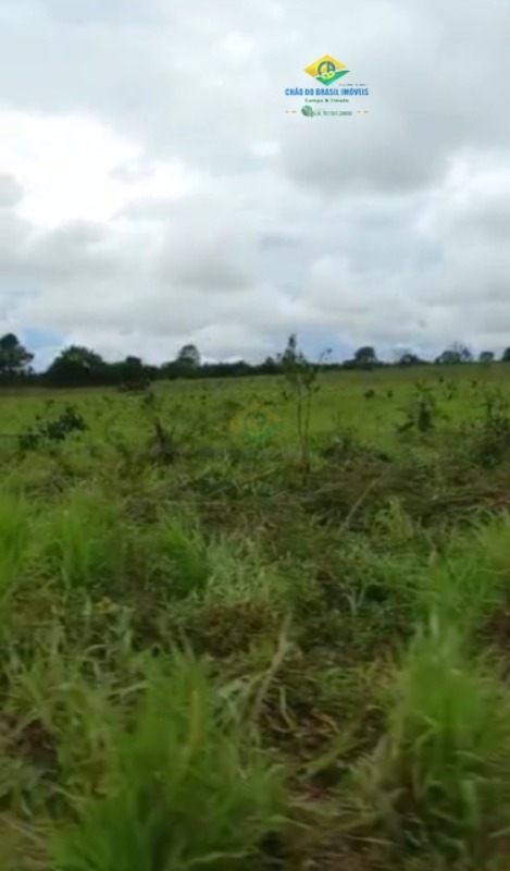 Fazenda à venda com 2 quartos - Foto 5