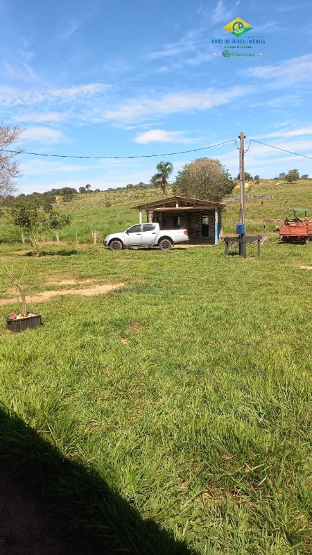 Fazenda à venda com 3 quartos, 1250m² - Foto 10