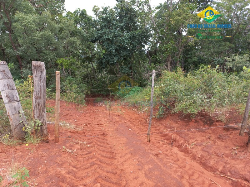 Fazenda à venda com 2 quartos - Foto 15