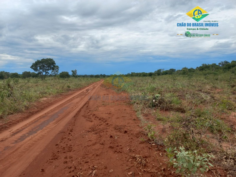 Fazenda à venda com 2 quartos - Foto 10