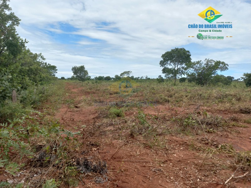 Fazenda à venda com 2 quartos - Foto 13