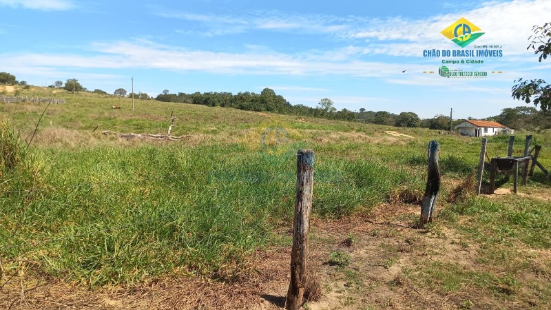 Fazenda à venda com 3 quartos, 1250m² - Foto 8