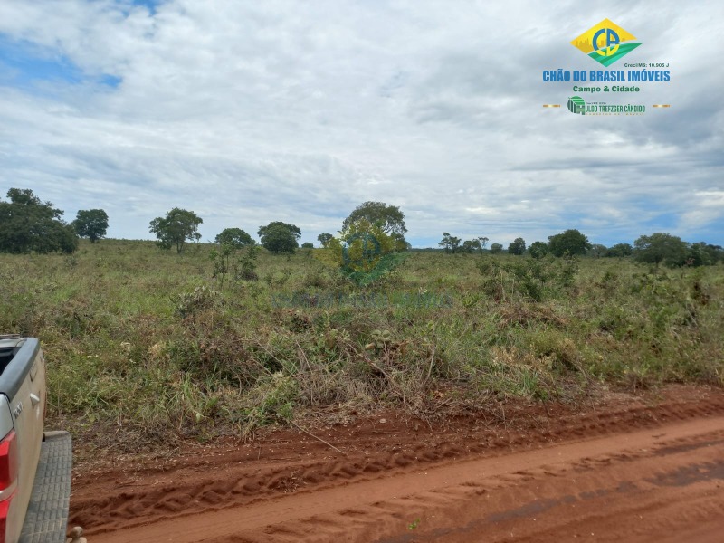 Fazenda à venda com 2 quartos - Foto 11