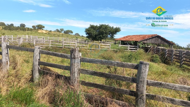 Fazenda à venda com 3 quartos, 1250m² - Foto 6