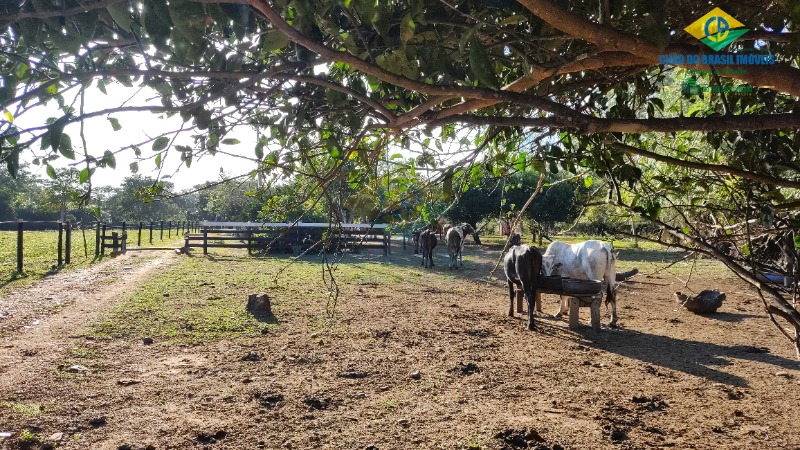 Chácara à venda com 3 quartos - Foto 8