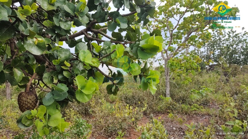 Terreno à venda, 1920m² - Foto 6