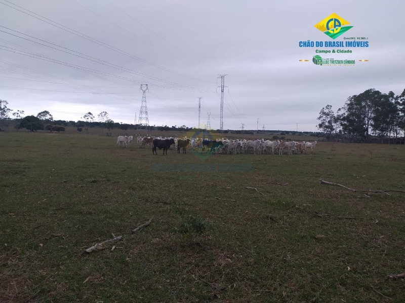 Fazenda à venda com 4 quartos, 200m² - Foto 4