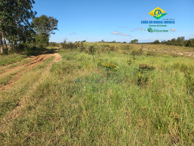 Fazenda à venda com 2 quartos, 1000m² - Foto 5