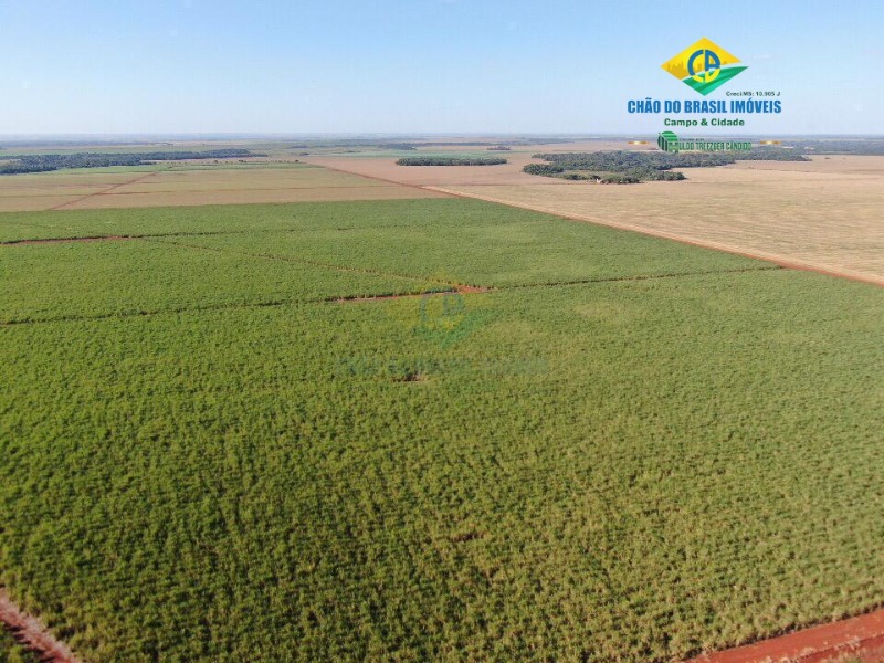 Fazenda à venda com 1 quarto, 5m² - Foto 4