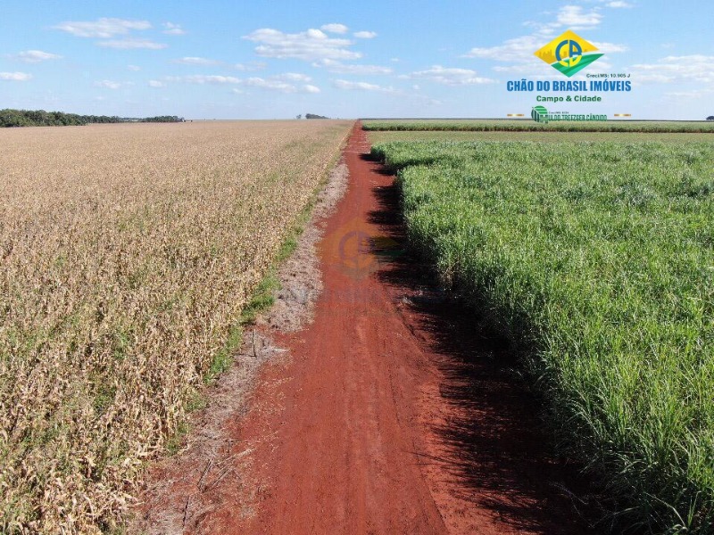 Fazenda à venda com 8 quartos, 300m² - Foto 2