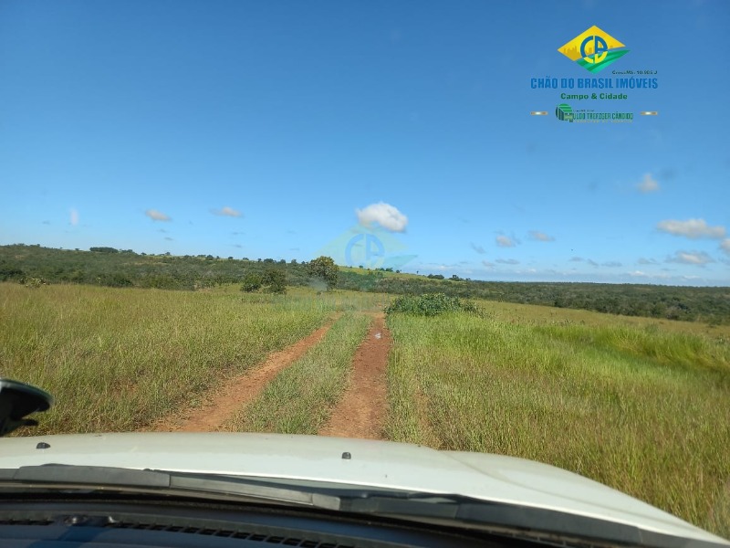 Fazenda à venda com 2 quartos, 1000m² - Foto 8