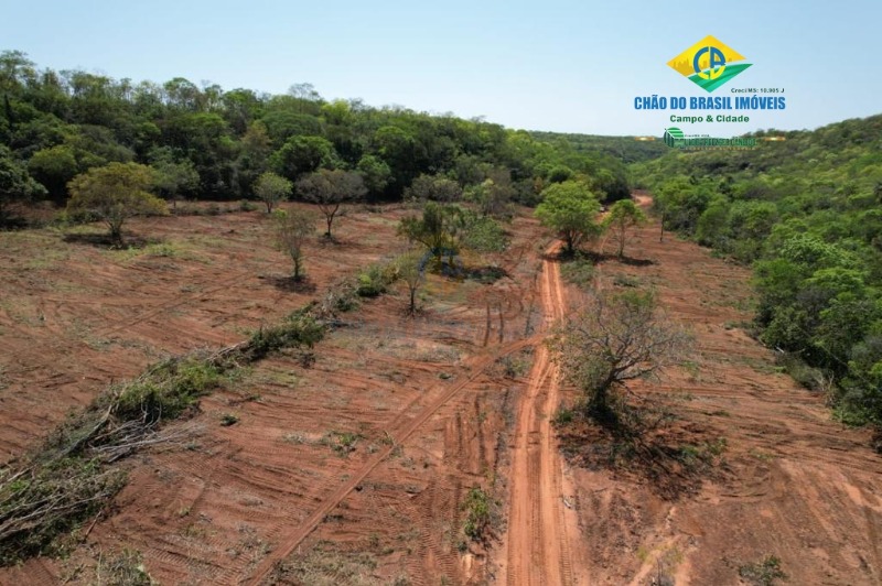 Fazenda à venda com 3 quartos - Foto 18