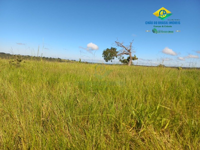 Fazenda à venda com 2 quartos, 1000m² - Foto 7