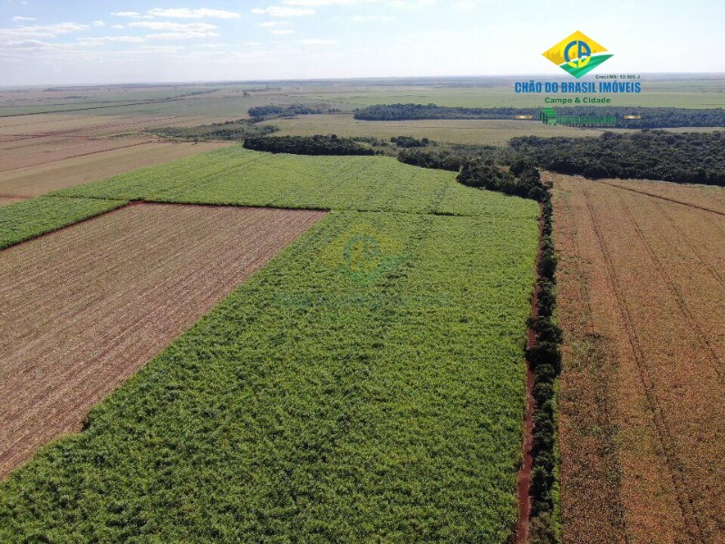 Fazenda à venda com 8 quartos, 300m² - Foto 3