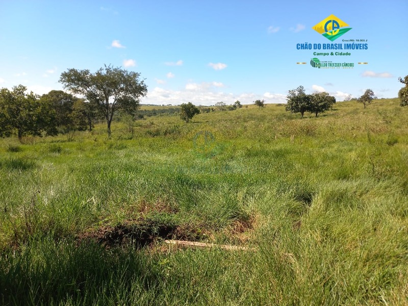 Fazenda à venda com 2 quartos, 1000m² - Foto 19