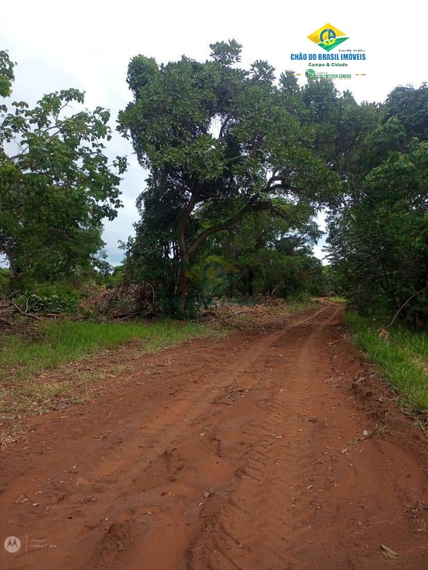 Fazenda à venda com 3 quartos - Foto 11