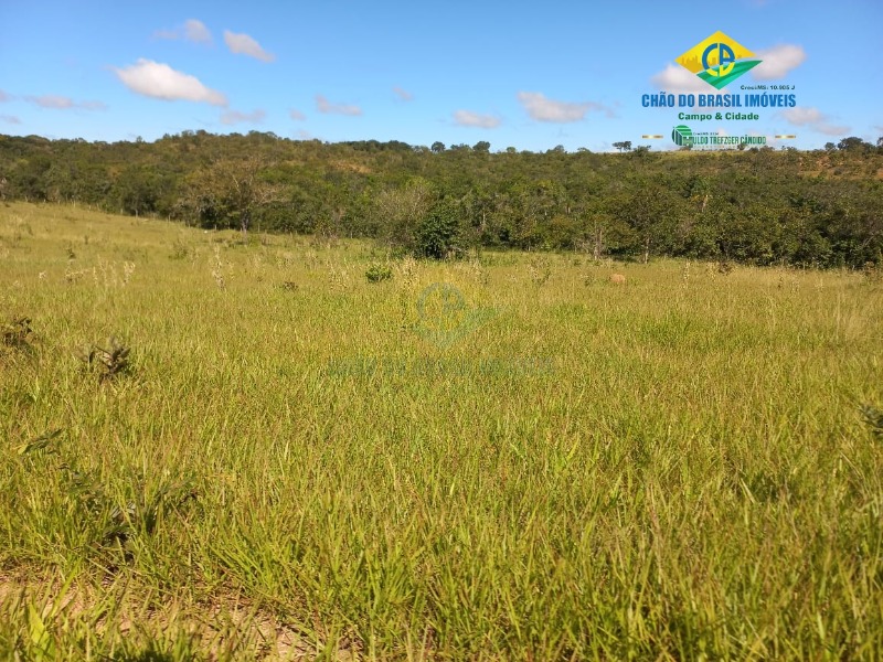 Fazenda à venda com 2 quartos, 1000m² - Foto 10