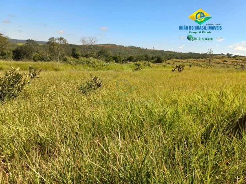 Fazenda à venda com 2 quartos, 1000m² - Foto 17