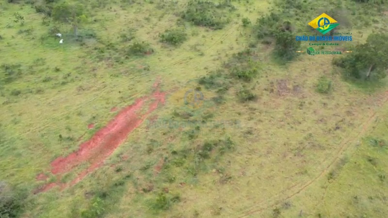 Fazenda à venda com 10 quartos, 500m² - Foto 20