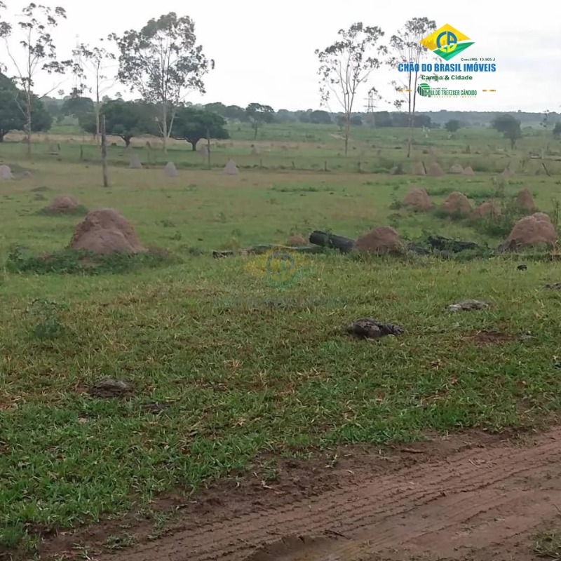 Fazenda à venda com 4 quartos, 200m² - Foto 5