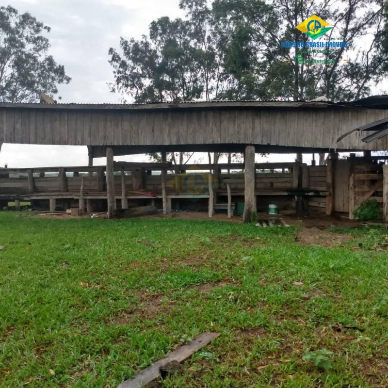 Fazenda à venda com 4 quartos, 200m² - Foto 8