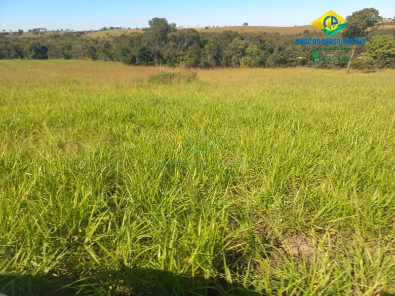 Fazenda à venda com 2 quartos, 1000m² - Foto 16