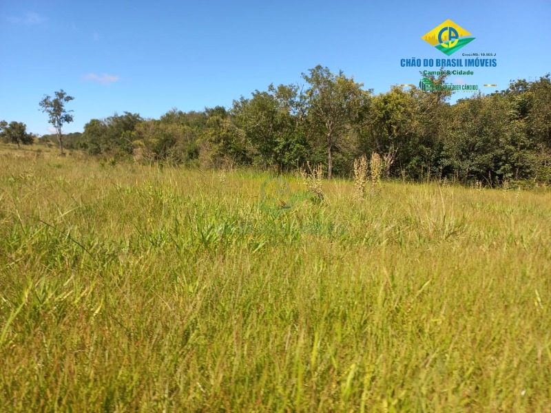 Fazenda à venda com 2 quartos, 1000m² - Foto 15