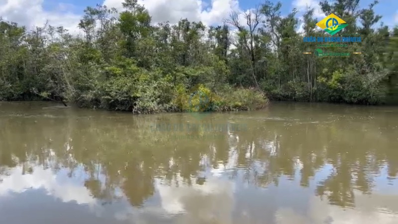 Fazenda à venda com 10 quartos, 500m² - Foto 17