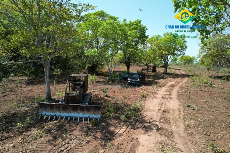 Fazenda à venda com 3 quartos - Foto 9