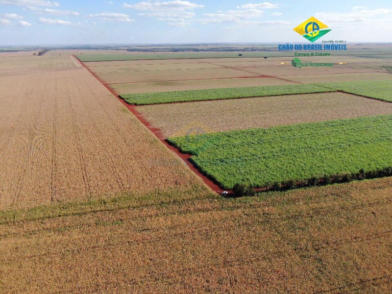 Fazenda à venda com 8 quartos, 300m² - Foto 1