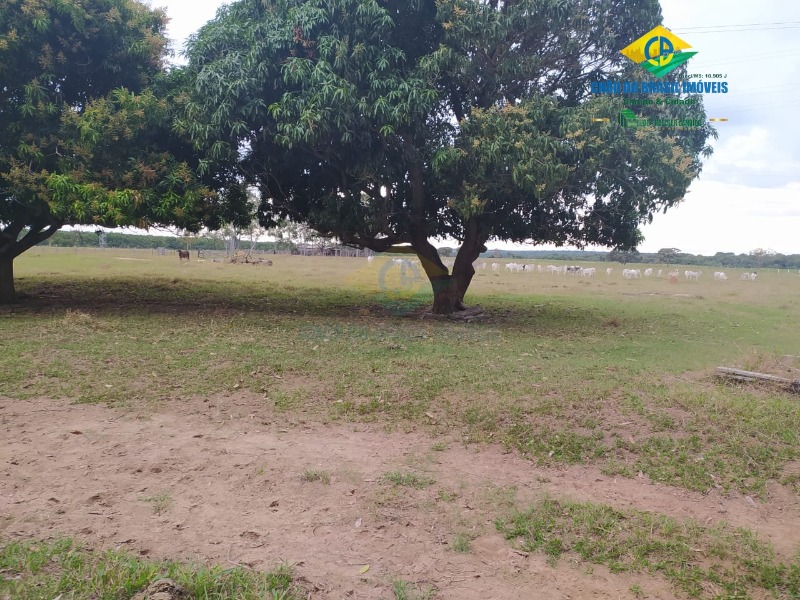 Fazenda à venda com 4 quartos, 200m² - Foto 6