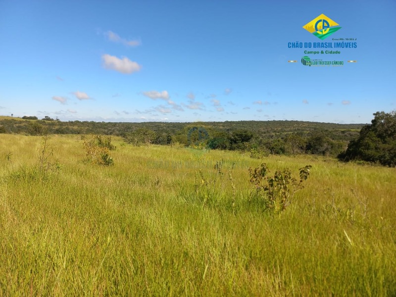 Fazenda à venda com 2 quartos, 1000m² - Foto 13