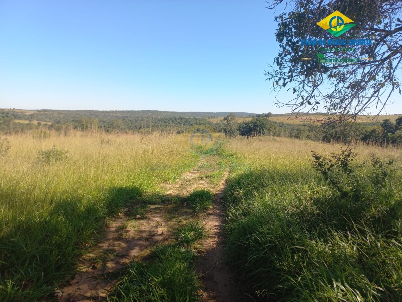 Fazenda à venda com 2 quartos, 1000m² - Foto 11