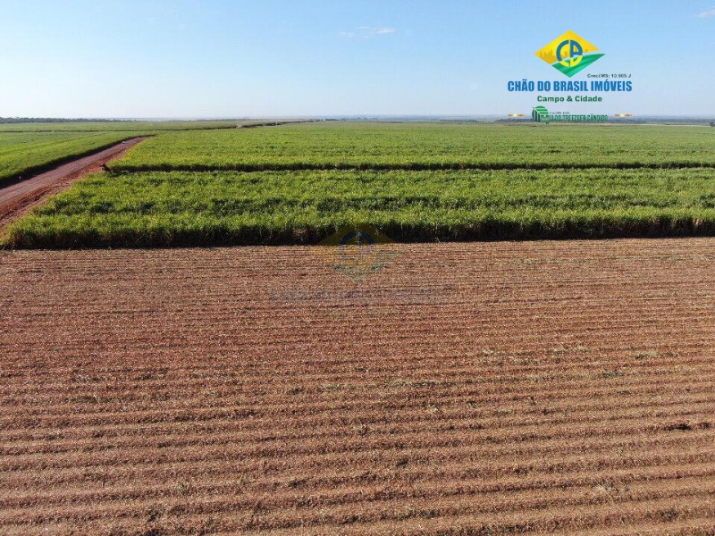 Fazenda à venda com 1 quarto, 5m² - Foto 2