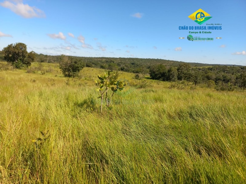 Fazenda à venda com 2 quartos, 1000m² - Foto 18